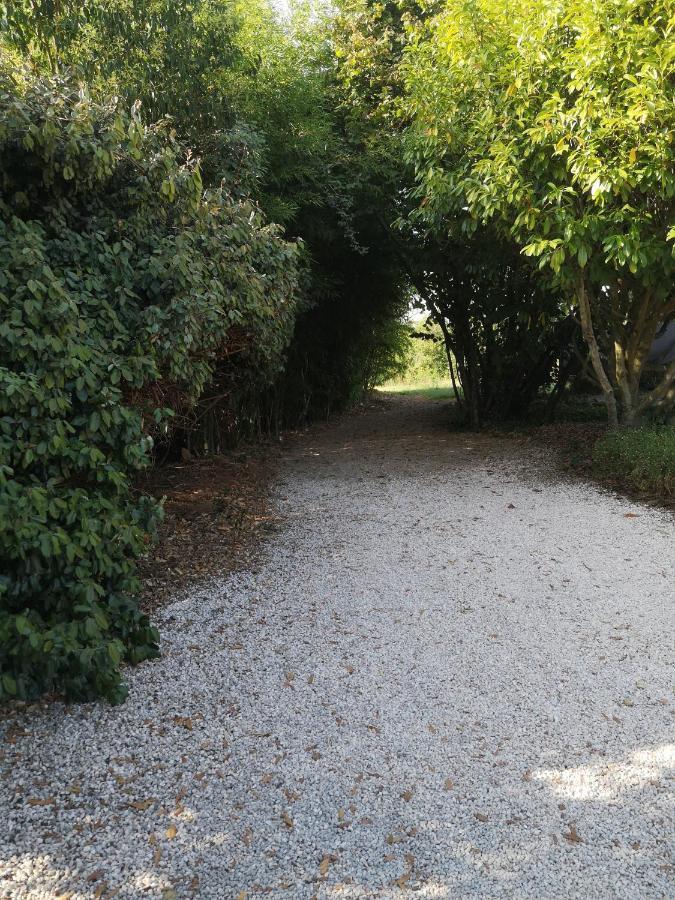 Au Bel Air Bed & Breakfast Clermont-Pouyguilles Dış mekan fotoğraf